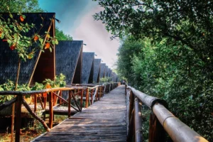 Review Taman Wisata Alam Angke Kapuk di Jakarta Utara untuk Liburan Nataru 2023